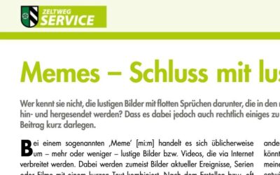 Memes – Schluss mit lustig?