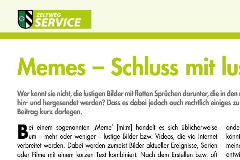 Memes – Schluss mit lustig?