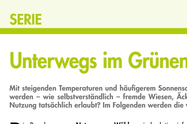 Unterwegs im Grünen